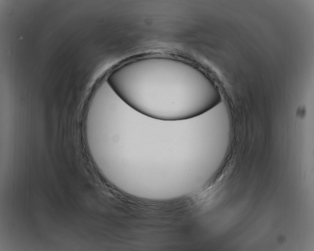 X0000101481267200807071234