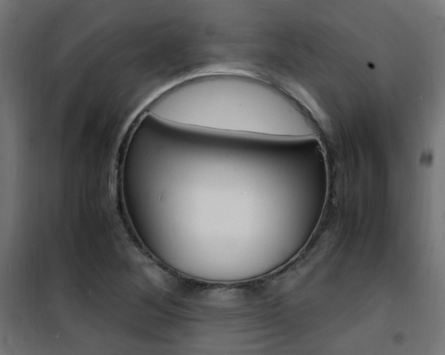 X0000101481268200807071234