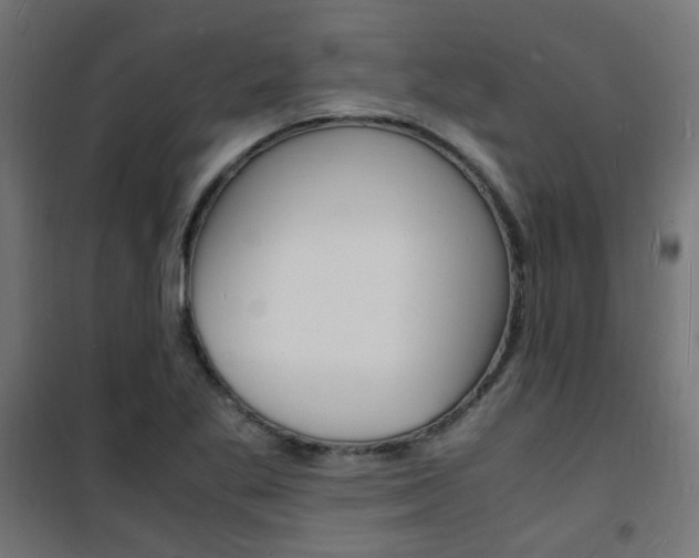 X0000101481269200807071234