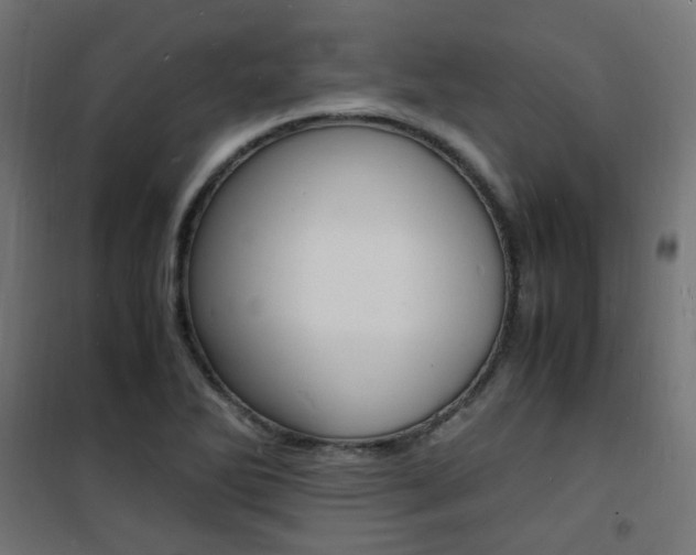X0000101481270200807071234