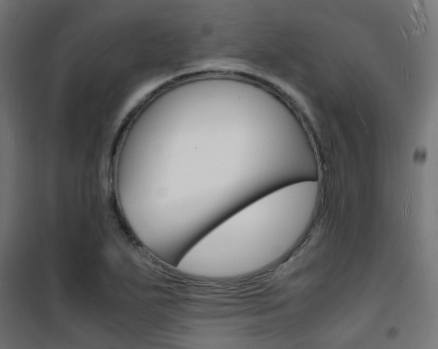 X0000101481271200807071234