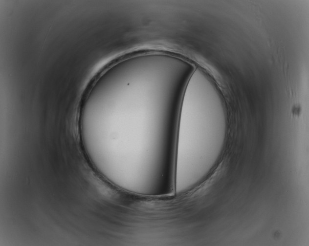 X0000101481272200807071234