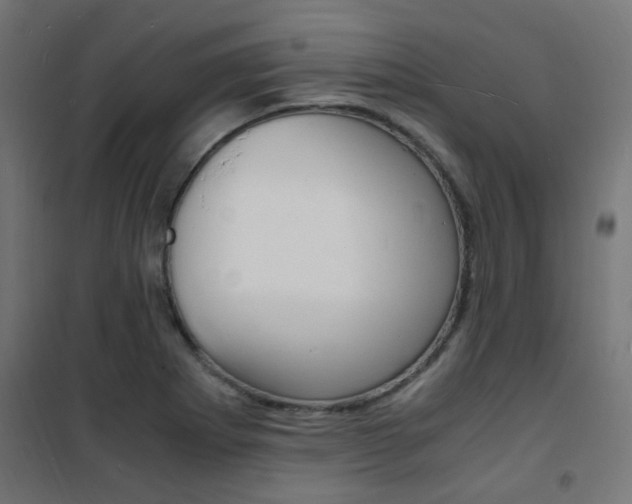X0000101481273200807071234