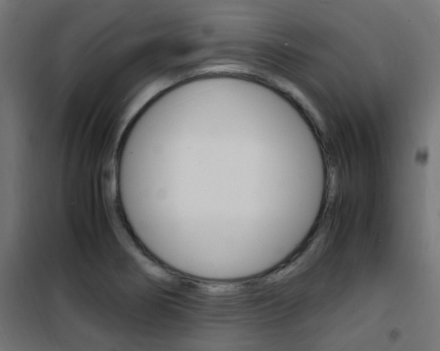 X0000101481274200807071234