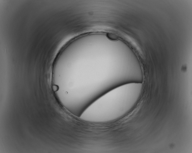 X0000101481275200807071234