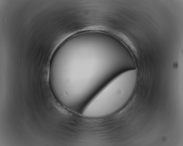 X0000101481276200807071234