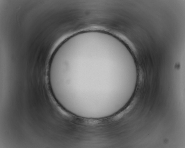 X0000101481278200807071234