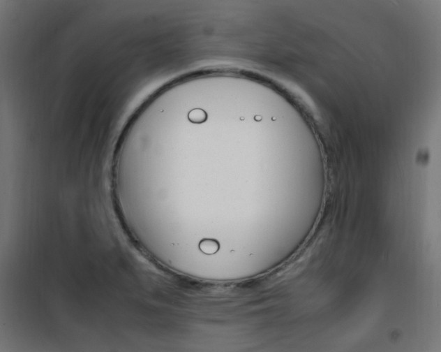 X0000101481279200807071234