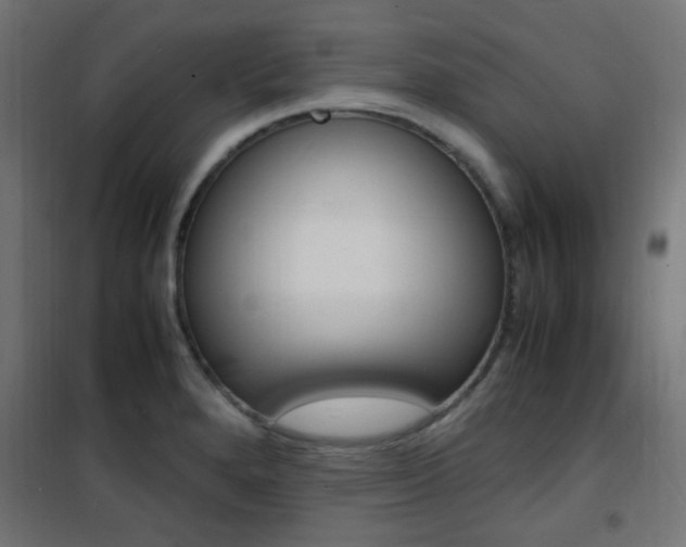 X0000101481280200807071234