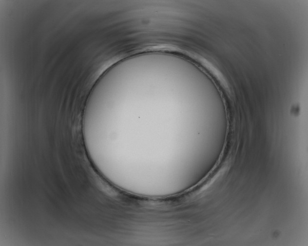 X0000101481281200807071234