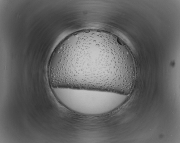 X0000101481283200807071234