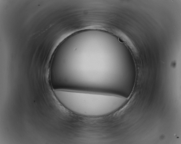 X0000101481284200807071234