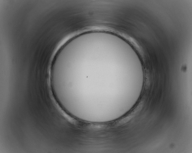 X0000101481286200807071234