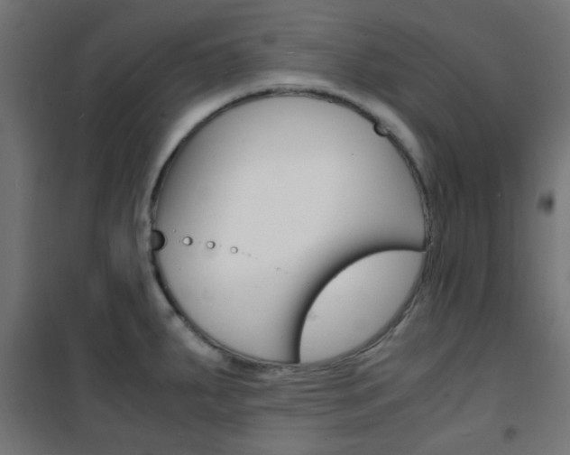 X0000101481287200807071234