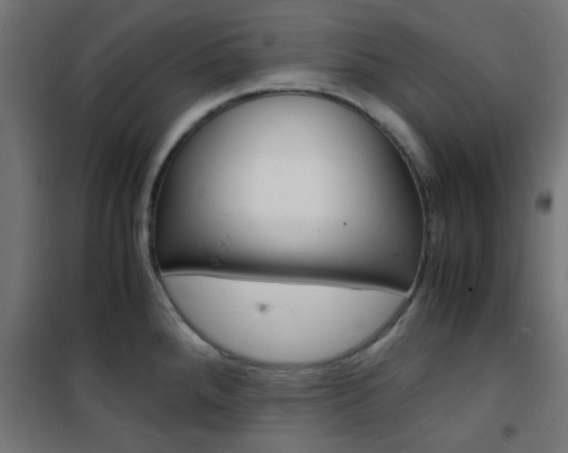 X0000101481288200807071234
