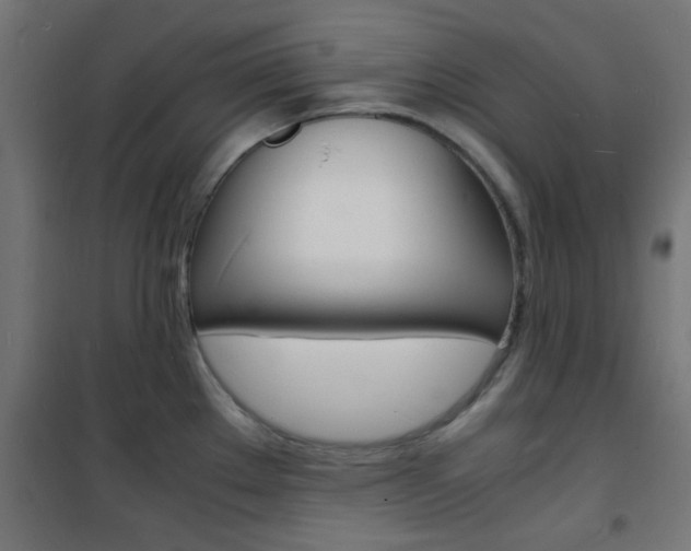 X0000101481289200807071234