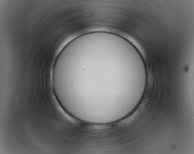 X0000101481290200807071234