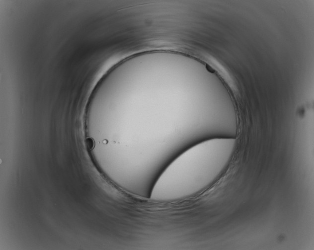 X0000101481291200807071234