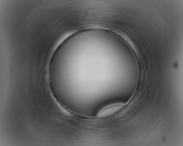 X0000101481293200807071234