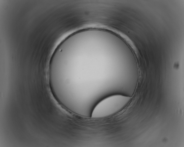 X0000101481295200807071234