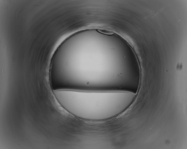 X0000101481296200807071234