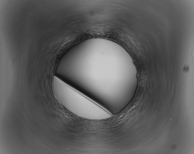 X0000101481297200807071233