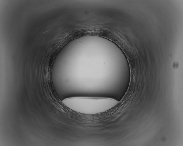 X0000101481298200807071233