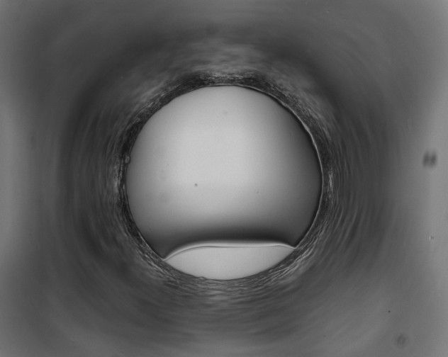 X0000101481300200807071233
