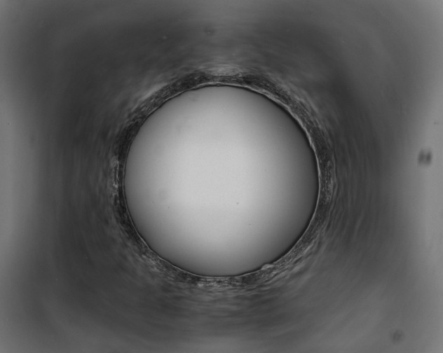 X0000101481301200807071233