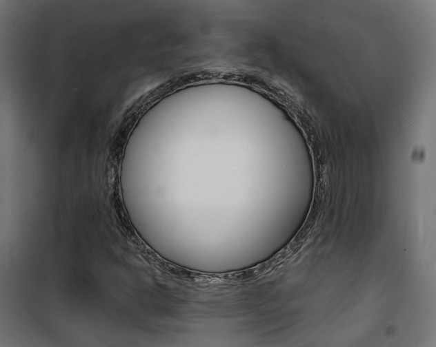 X0000101481302200807071233