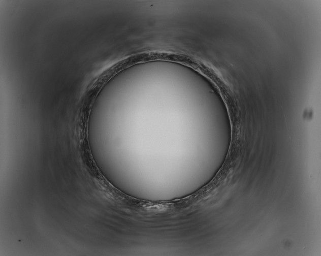 X0000101481303200807071233