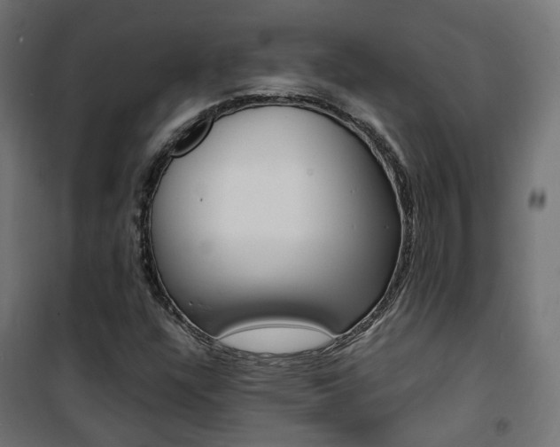 X0000101481304200807071233