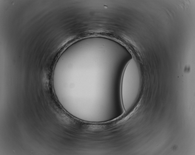 X0000101481305200807071233