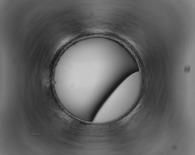 X0000101481306200807071233