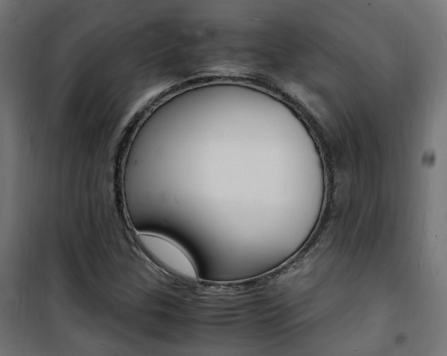 X0000101481307200807071233