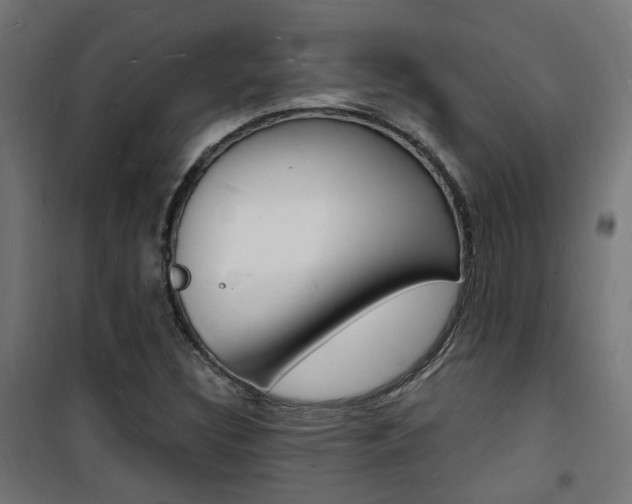 X0000101481308200807071233