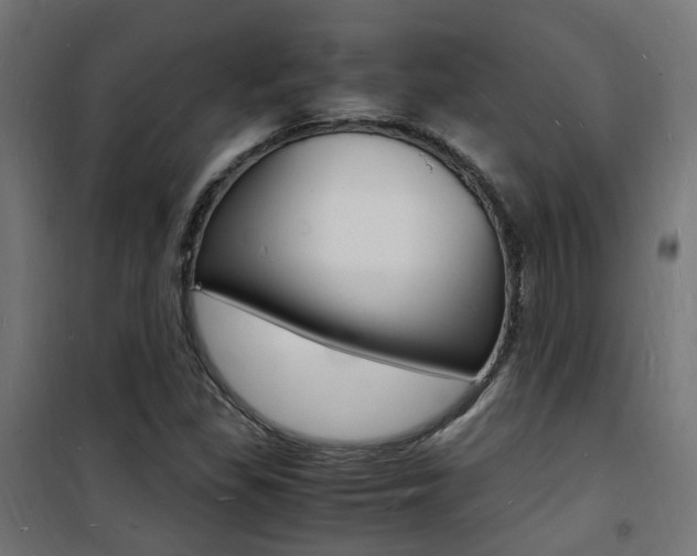 X0000101481309200807071233