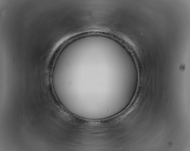 X0000101481310200807071233