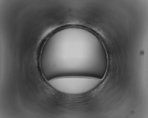 X0000101481311200807071233