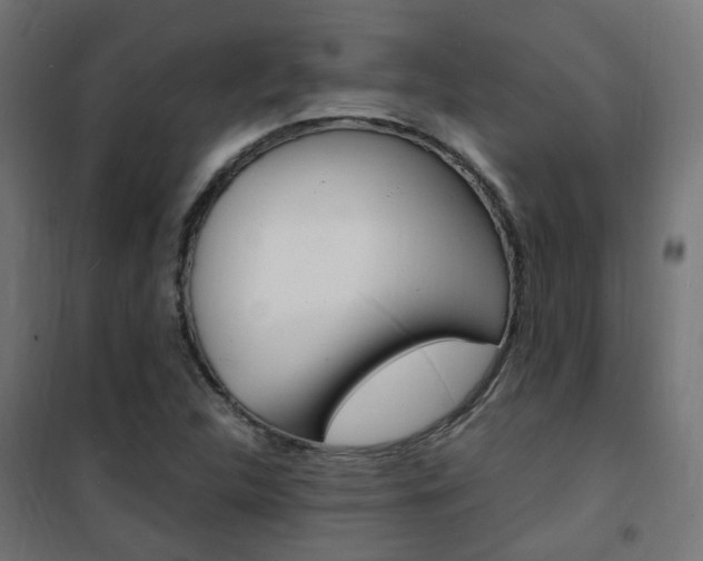 X0000101481312200807071233