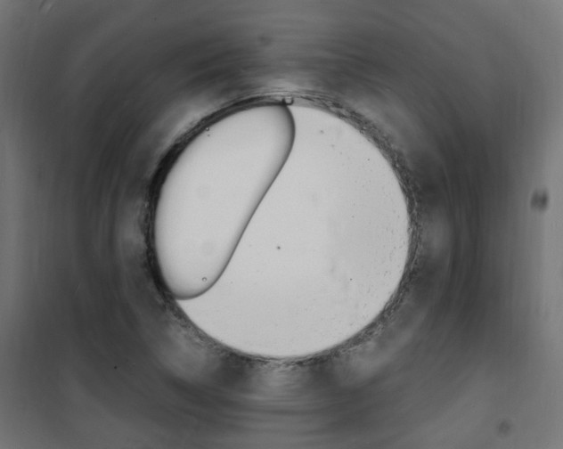 X0000101481314200807071233