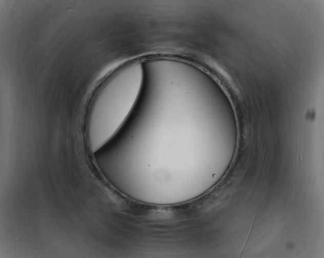 X0000101481315200807071233