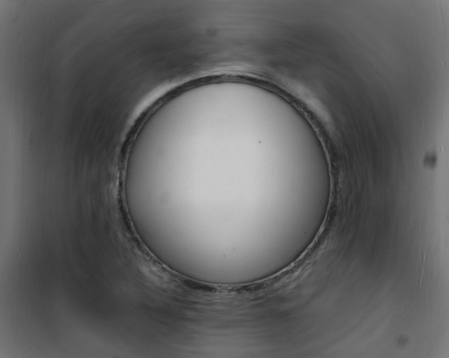 X0000101481316200807071233