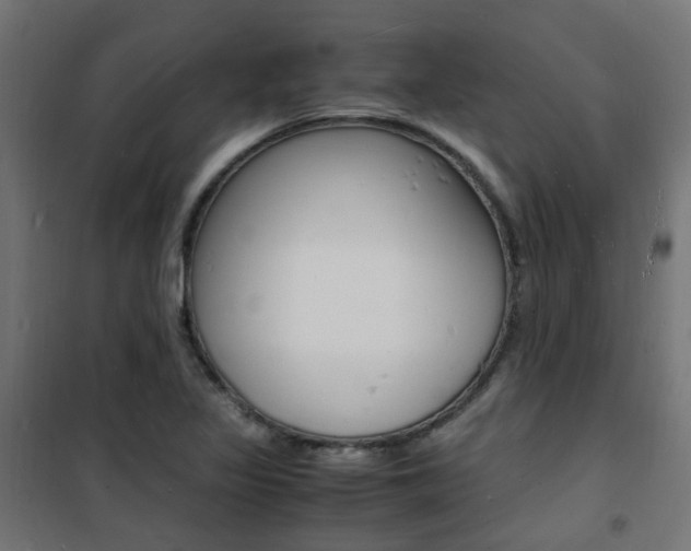 X0000101481317200807071234