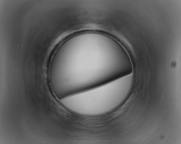 X0000101481318200807071234