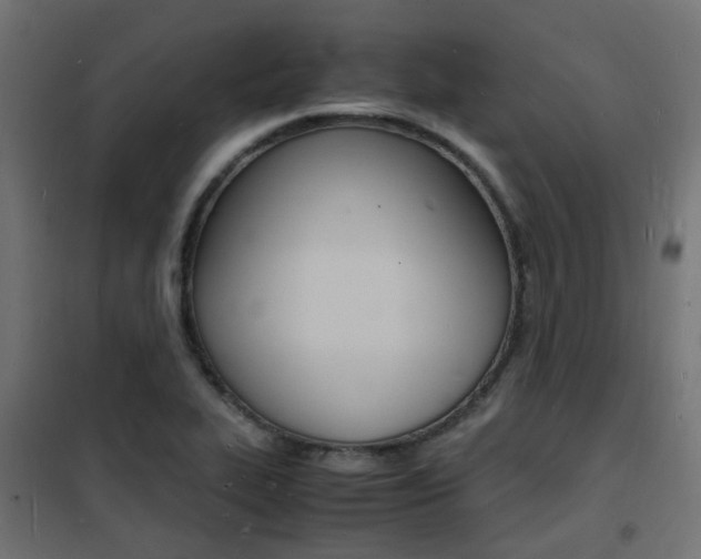 X0000101481319200807071234
