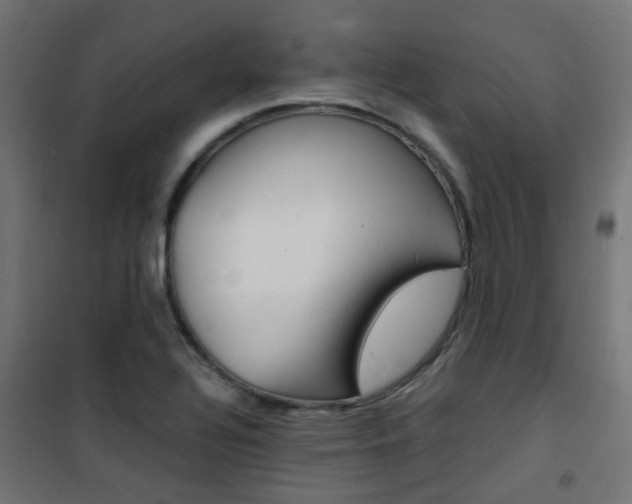 X0000101481320200807071234