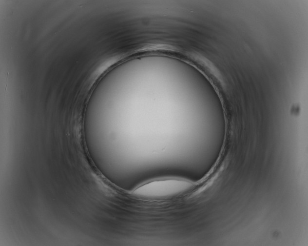 X0000101481321200807071234