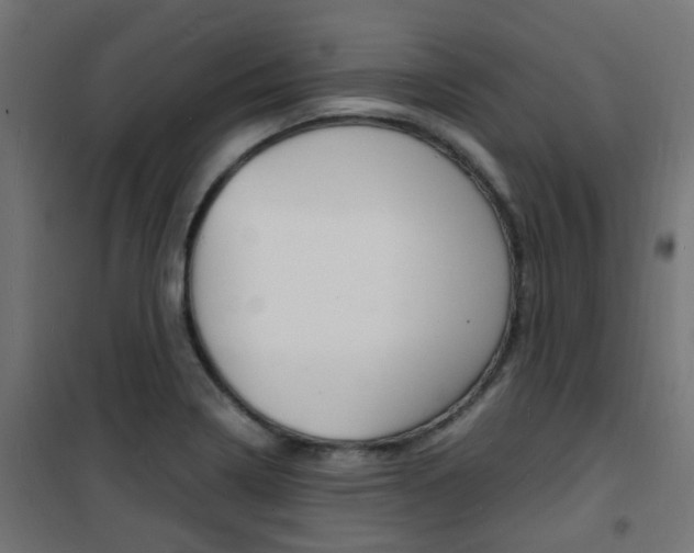 X0000101481322200807071234