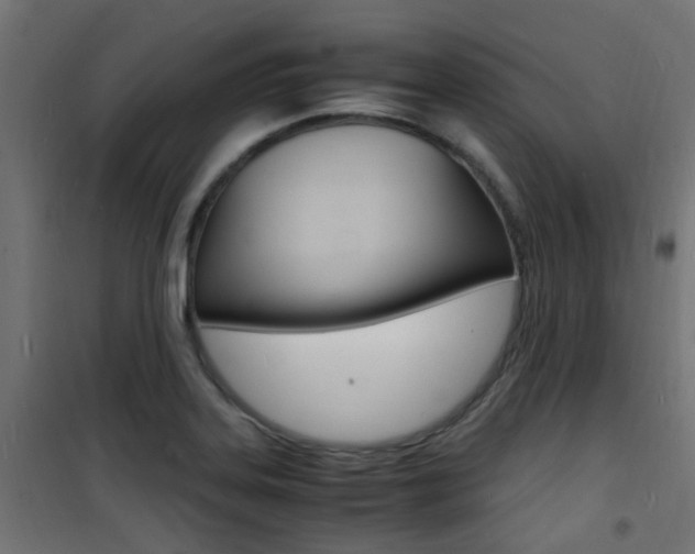 X0000101481323200807071234